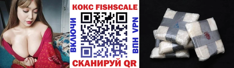 купить закладку  Новосибирск  OMG сайт  КОКАИН Fish Scale 