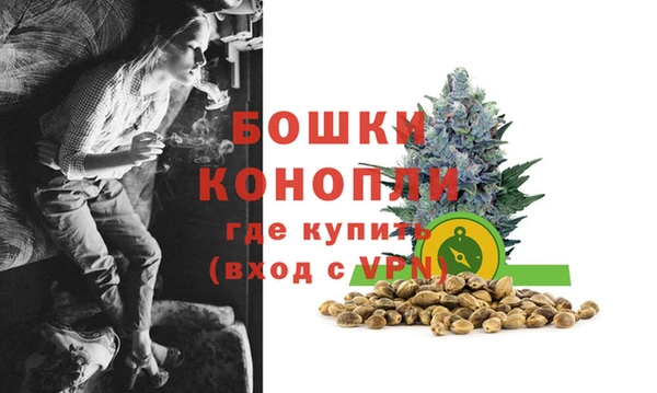 ПСИЛОЦИБИНОВЫЕ ГРИБЫ Остров
