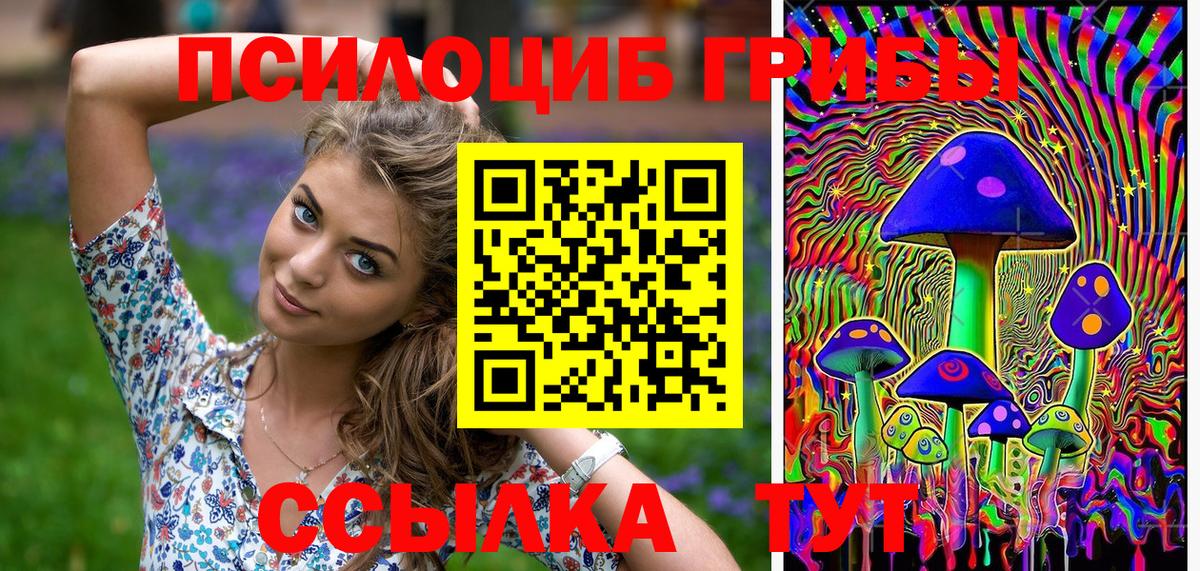 Галлюциногенные грибы Cubensis Новосибирск
