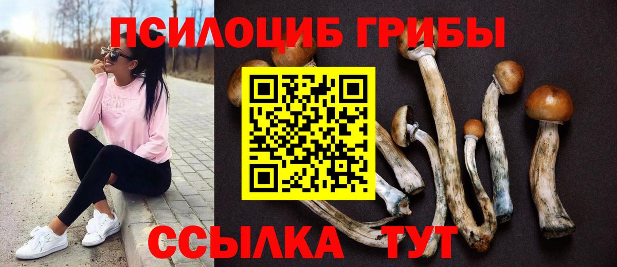 Псилоцибиновые грибы GOLDEN TEACHER  Вход с VPN  Псилоцибиновые грибы Psilocybe  Новосибирск 