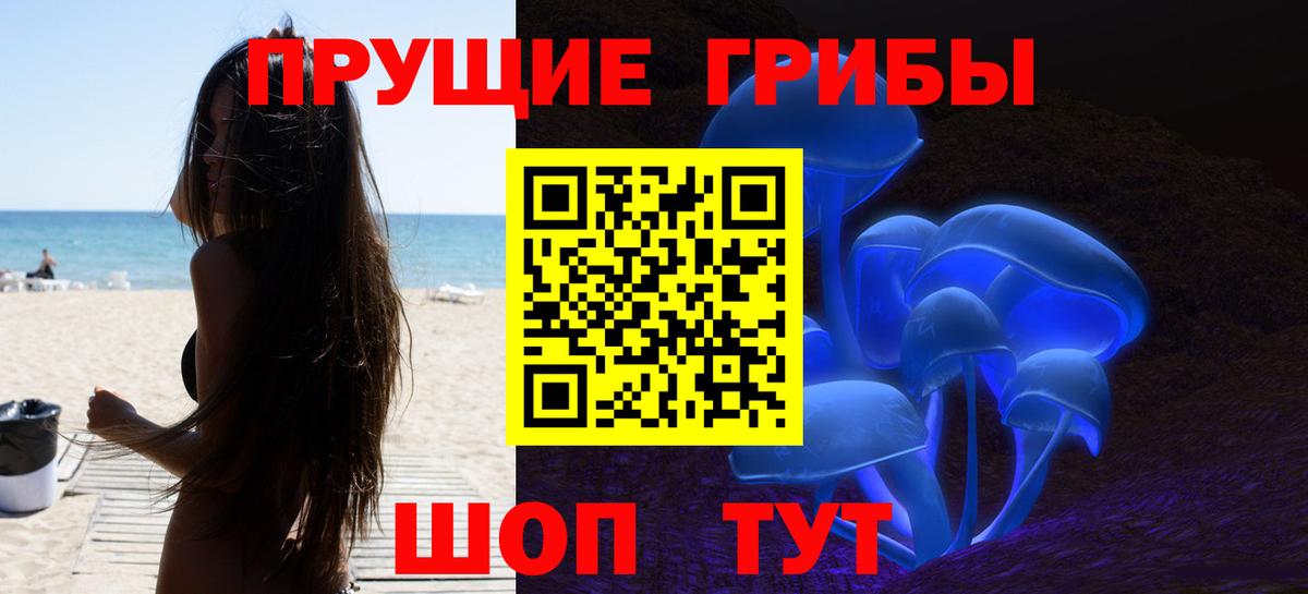 Галлюциногенные грибы Cubensis Новосибирск