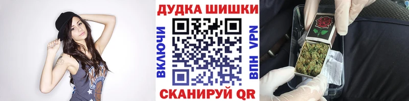 как найти закладки Новосибирск Бошки марихуана тримм